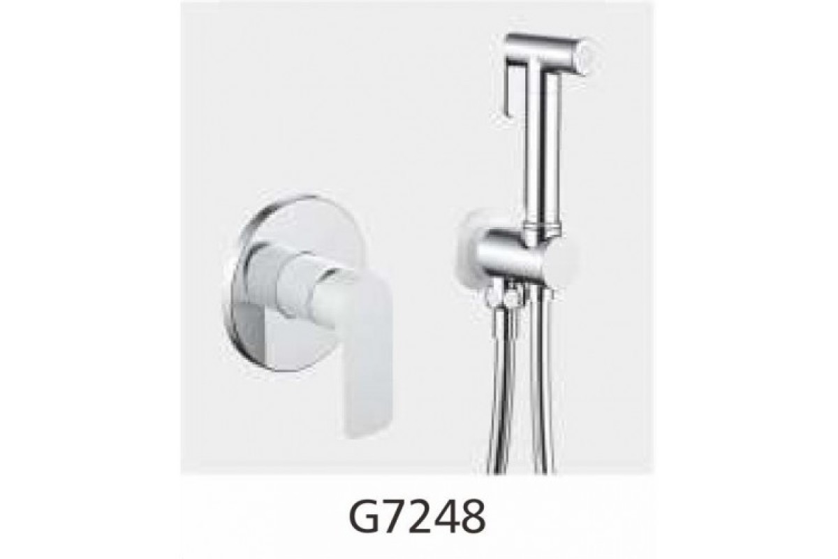 Комплект для биде GAPPO G7248 Белый/хром встраиваемый смеситель, гиг.лейка, шланг (латунь)